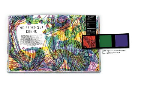 InsideView 4