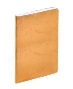 Cover-Bild zum Titel 'GESCHÄFT COLOR ML Susan gold 2027' von ''