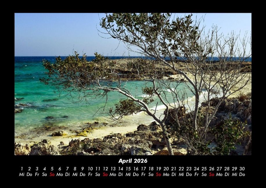 InsideView 8
