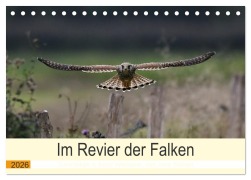 Cover-Bild zum Titel 'Im Revier der Falken (Tischkalender 2026 DIN A5 quer), CALVENDO Monatskalender' von 'Jens Siebert'