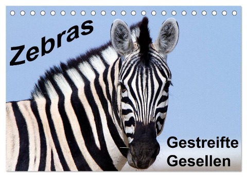 Zebras - Gestreifte Gesellen (Tischkalender 2024 DIN A5 quer), CALVENDO Monatskalender - Angelika Stern