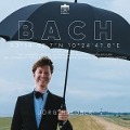 Cover-Bild zum Titel 'Bach Organ Landscapes:Lüneburg' von 'Jörg Halubek'