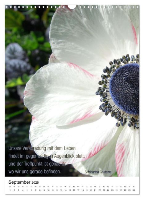 InsideView 14
