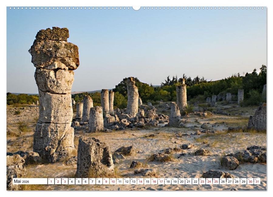 InsideView 10