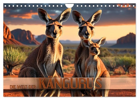Die Welt der Kängurus (Wandkalender 2024 DIN A4 quer), CALVENDO Monatskalender - Renate Utz