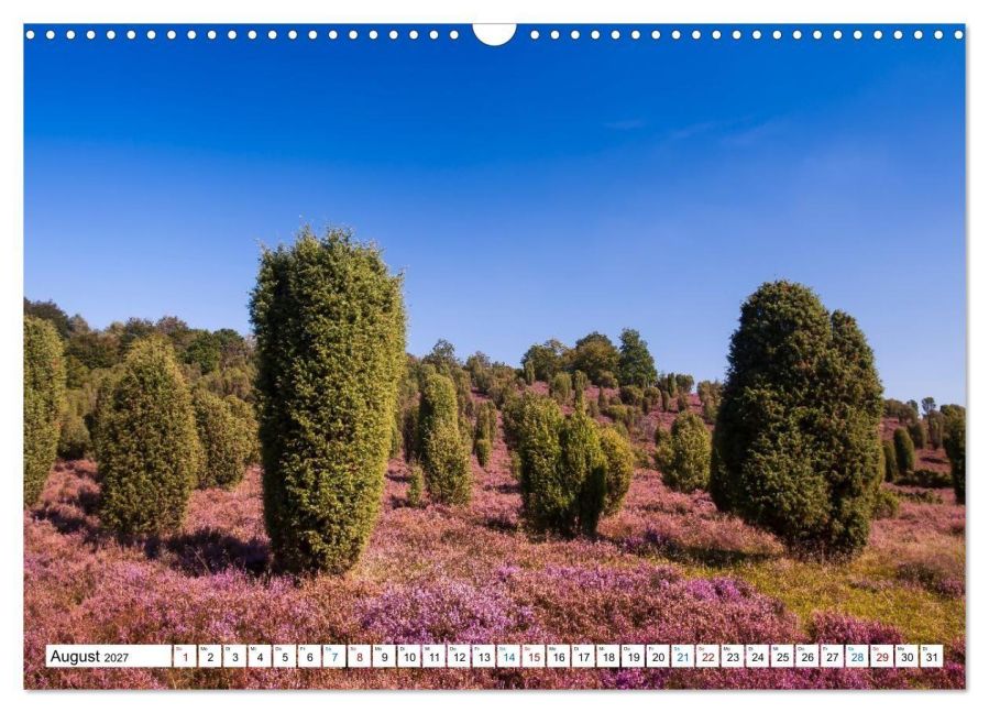 InsideView 13