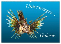 Unterwasser-Galerie (Wandkalender 2026 DIN A2 quer), CALVENDO Monatskalender - Ute Niemann