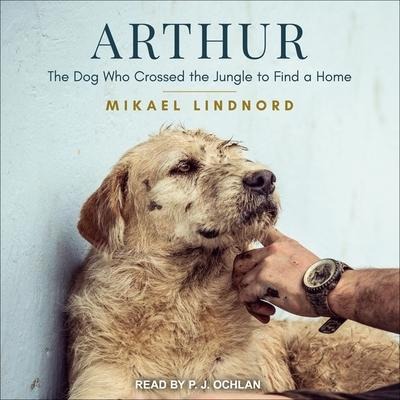 Arthur Lib/E: The Dog Who Crossed the Jungle to Find a Home - Mikael Lindnord
