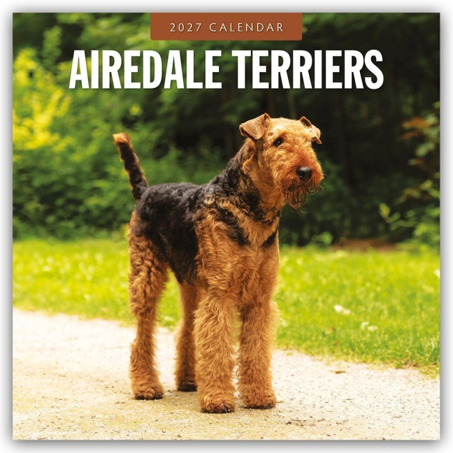 Airdale Terriers - Airdale Terrier 2027 - 16-Monatskalender - Robin Red