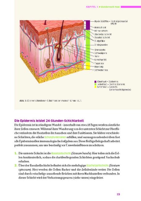 InsideView 2