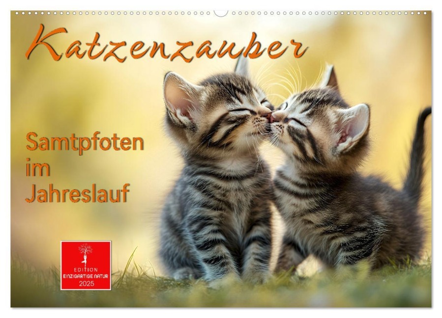 Katzenzauber - Samtpfoten im Jahreslauf (Wandkalender 2025 DIN A2 quer), CALVENDO Monatskalender - Peter Roder