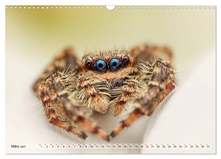 InsideView 8
