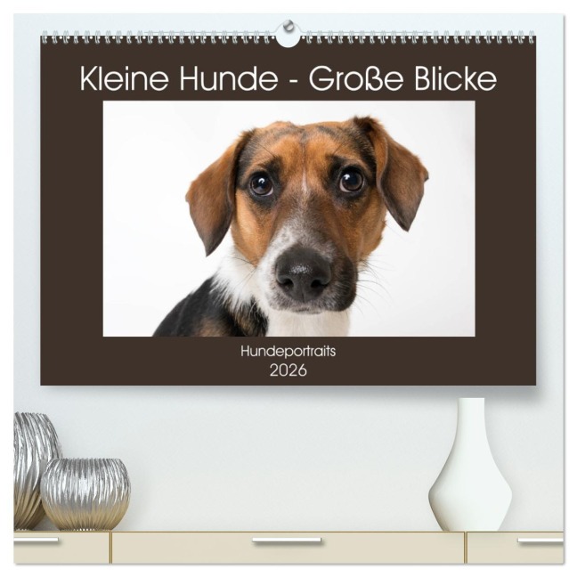 Kleine Hunde - Große Blicke (hochwertiger Premium Wandkalender 2026 DIN A2 quer), Kunstdruck in Hochglanz - Akrema-Photography Akrema-Photography