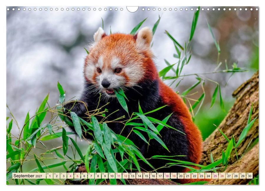 InsideView 14