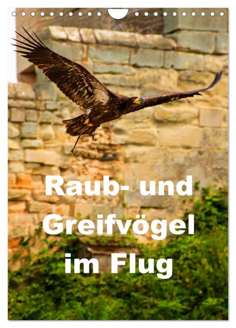 Raub- und Greifvögel im Flug (Wandkalender 2026 DIN A4 hoch), CALVENDO Monatskalender - Gabriela Wernicke-Marfo