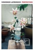 Cover-Bild zum Titel 'Perfection' von 'Vincenzo Latronico'