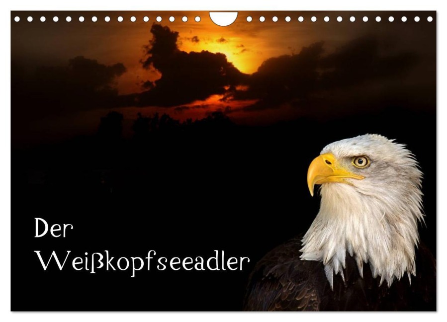 Der Weißkopfseeadler (Wandkalender 2025 DIN A4 quer), CALVENDO Monatskalender - Arno Klatt