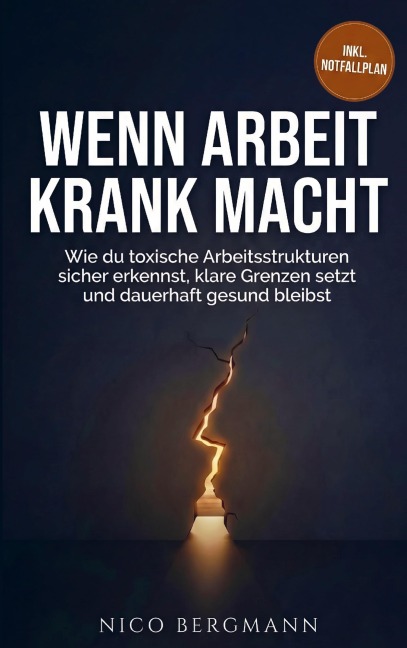 Wenn Arbeit krank macht - Nico Bergmann