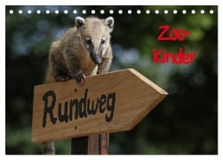 Zoo-Kinder (Tischkalender 2025 DIN A5 quer), CALVENDO Monatskalender - Pferdografen. de Pferdografen. de