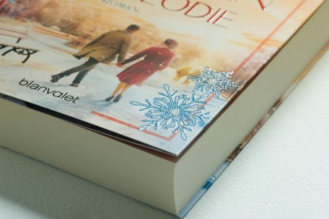 InsideView 8