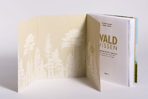InsideView 6