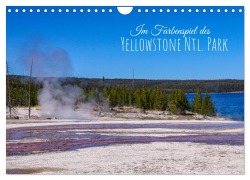 Im Farbenspiel des Yellowstone Natl. Park (Wandkalender 2026 DIN A4 quer), CALVENDO Monatskalender - Silvia Drafz