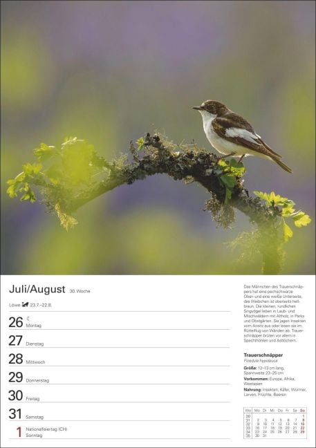 InsideView 11