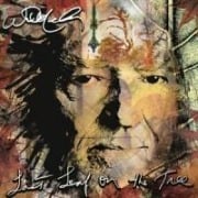 Last Leaf On The Tree - Willie Nelson