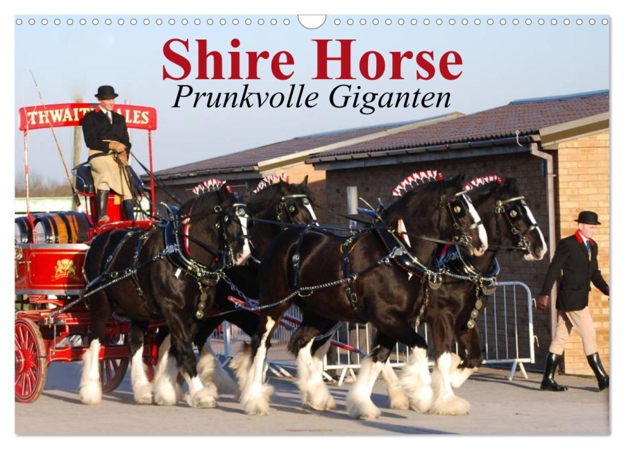 Shire Horse ¿ Prunkvolle Giganten (Wandkalender 2026 DIN A3 quer), CALVENDO Monatskalender - Elisabeth Stanzer
