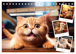 Cover-Bild zum Titel 'Süße Katzen und coole Sprüche (Tischkalender 2027 DIN A5 quer), CALVENDO Monatskalender' von 'Melanie Viola'