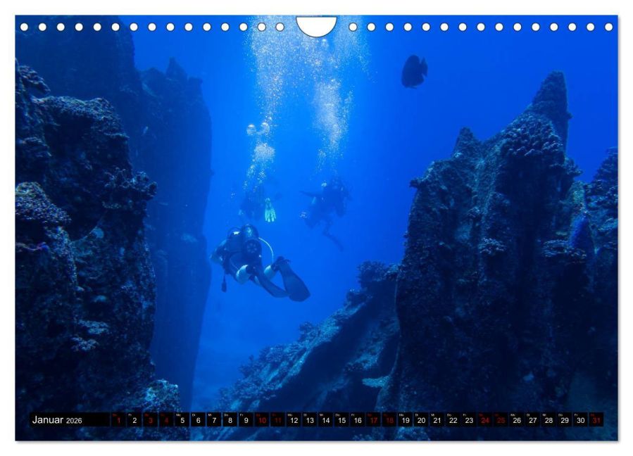 InsideView 6