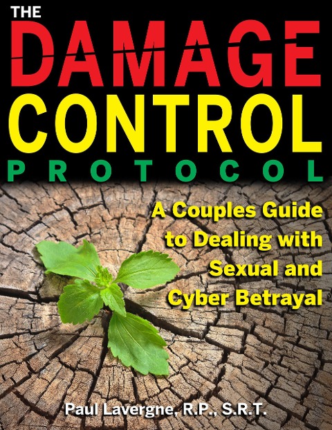 The Damage Control Protocol - Paul Lavergne