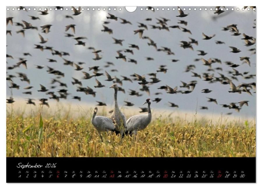 InsideView 14