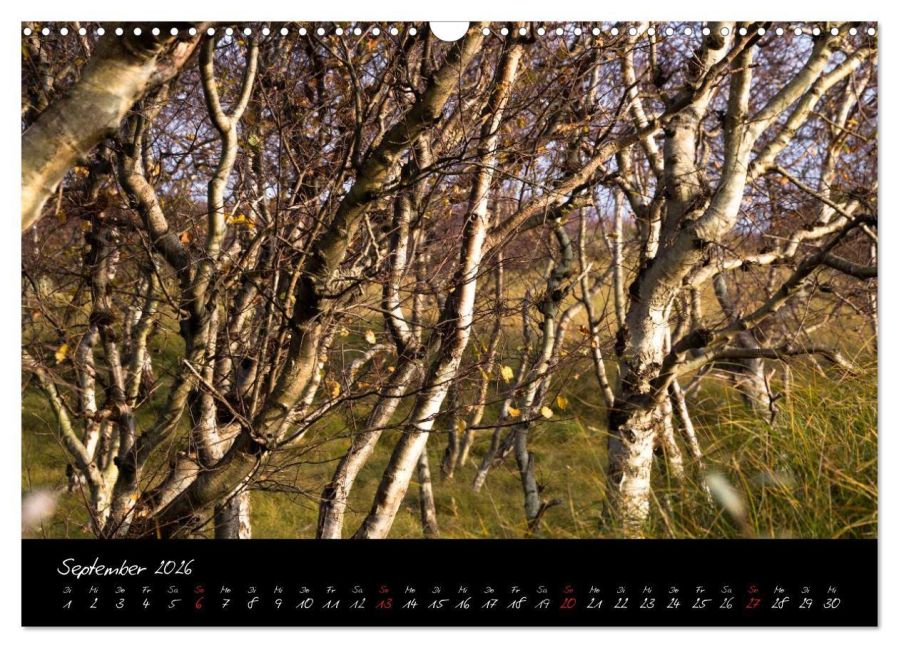 InsideView 14
