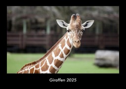 Cover-Bild zum Titel 'Giraffen 2025 Fotokalender DIN A3' von 'Tobias Becker'