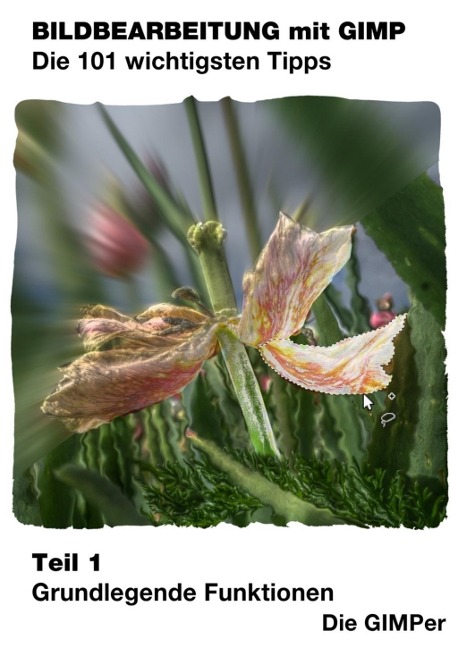 Bildbearbeitung mit GIMP -  Die 101 wichtigsten Tipps - Wilber Gimper