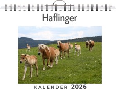 Cover-Bild zum Titel 'Haflinger' von 'Liam Neumann'