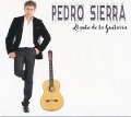 Cover-Bild zum Titel 'La Voz Del Flamenco' von 'Pedro Sierra'