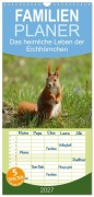 Cover-Bild zum Titel 'Familienplaner 2027 - Das heimliche Leben der Eichhörnchen mit 5 Spalten (Wandkalender, 21 x 45 cm) CALVENDO' von 'Kattobello'