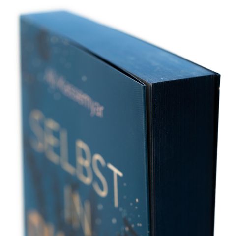 InsideView 5