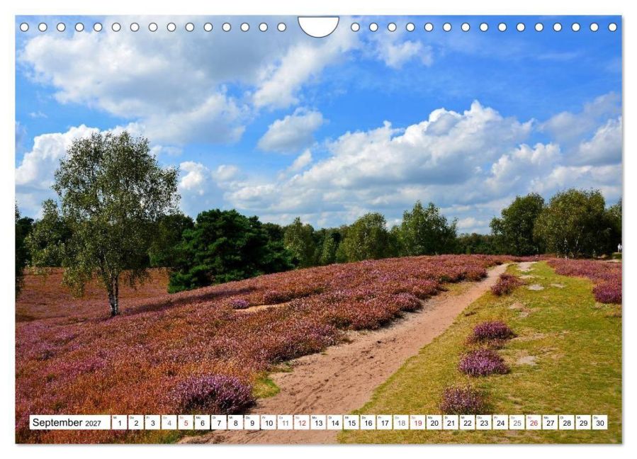 InsideView 14