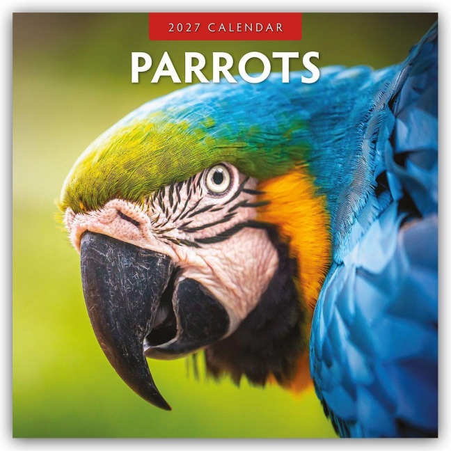 Parrots - Papageien 2027 - 16-Monatskalender - Robin Red