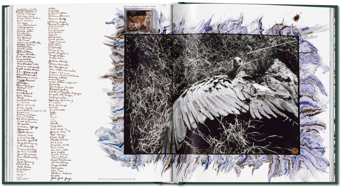 InsideView 31