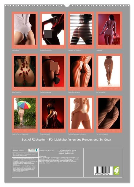 InsideView 4