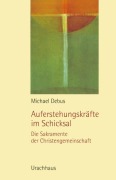 Cover-Bild zum Titel 'Auferstehungskräfte im Schicksal' von 'Michael Debus'