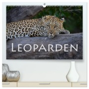 Leoparden - groß und klein (hochwertiger Premium Wandkalender 2026 DIN A2 quer), Kunstdruck in Hochglanz - Robert Styppa