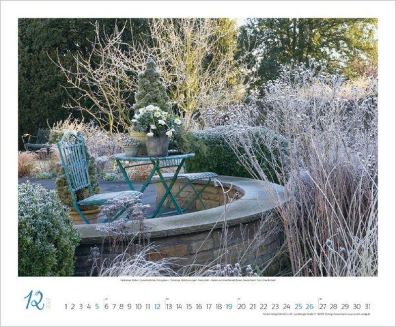 InsideView 12