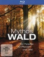 Mythos Wald - 