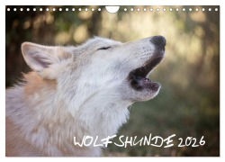 Wolfshunde 2026 (Wandkalender 2026 DIN A4 quer), CALVENDO Monatskalender - ARTness Photographie