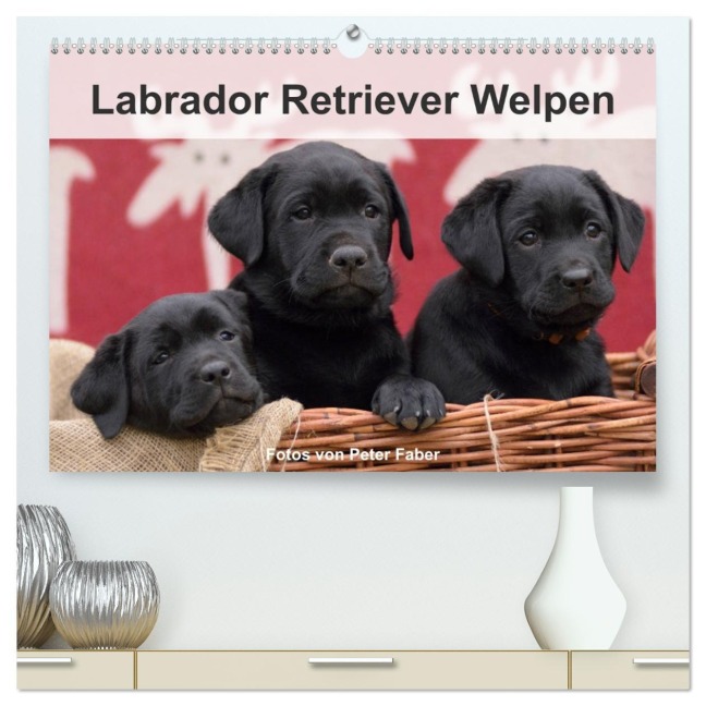 Labrador Retriever Welpen (hochwertiger Premium Wandkalender 2026 DIN A2 quer), Kunstdruck in Hochglanz - Peter Faber